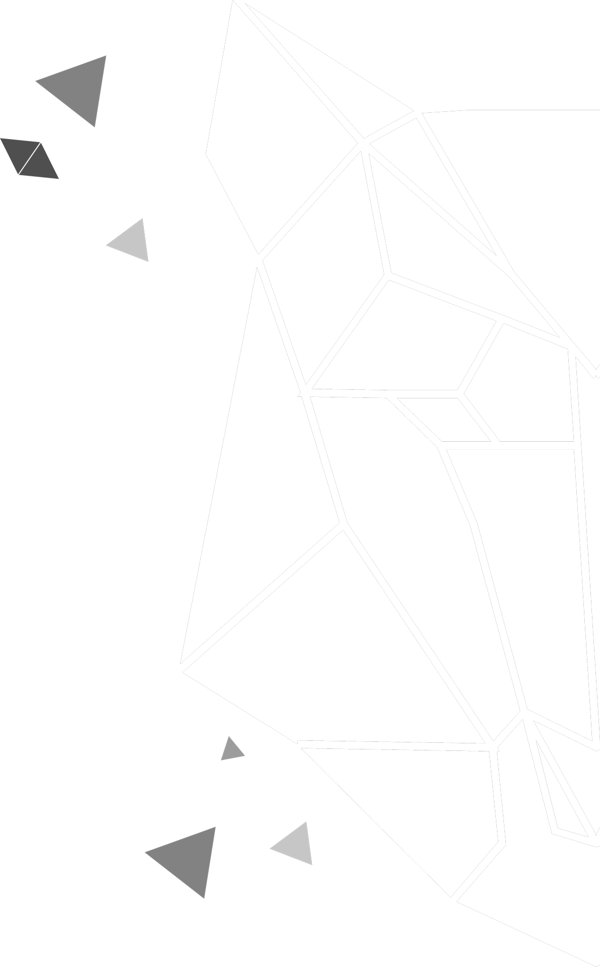 Loup en origami montrant la compétence technologique en web et e-commerce de l'agence Les Vikings à Lyon