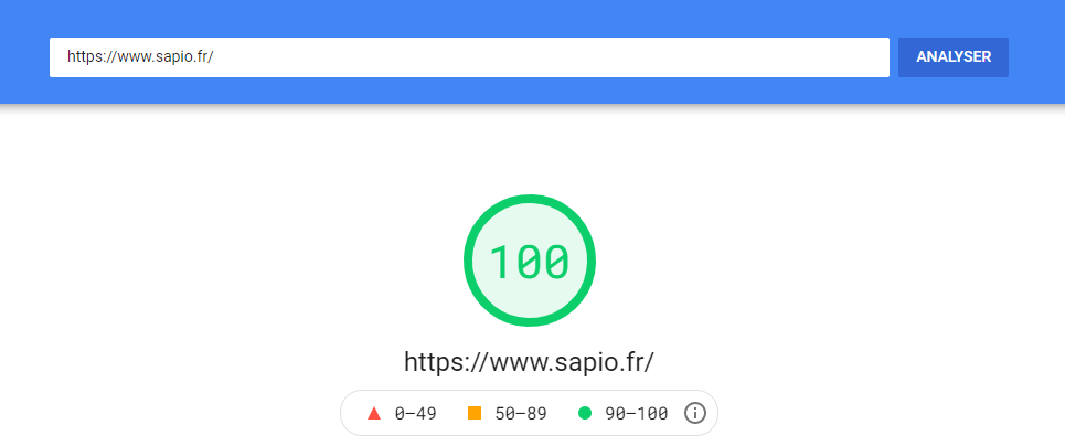 Capture d'écran d'un résultat 100/100 au Page Speed insight de Google par un site web crée par Les Vikings, agence web à Lyon et spécialisée dans l'accompagnement e-commerce