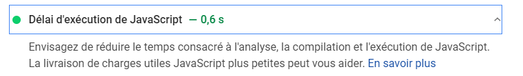 Capture d'écran de vitesse d'exécution de JavaScript ou JS sur site web d'agence web Les Vikings, pour charger les pages web rapidement