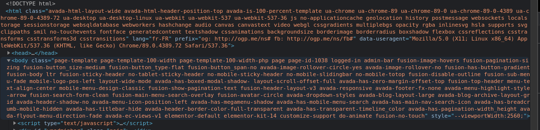 Capture d'écran d'un bloc de code de site builder WordPress avec page web trop lourde donc nécessité de réduire la taille du DOM