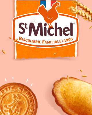 SAINT-MICHEL : Intégration visuelle du logo en référence de TMA et accompagnement web e-commerce par Les Vikings, agence web à Lyon, en Symfony et hébergement multiple Symfony