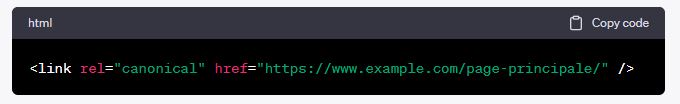 Extrait de code de balise HTML pour URL canonique dans le cadre d'un accompagnement création de site e-commerce