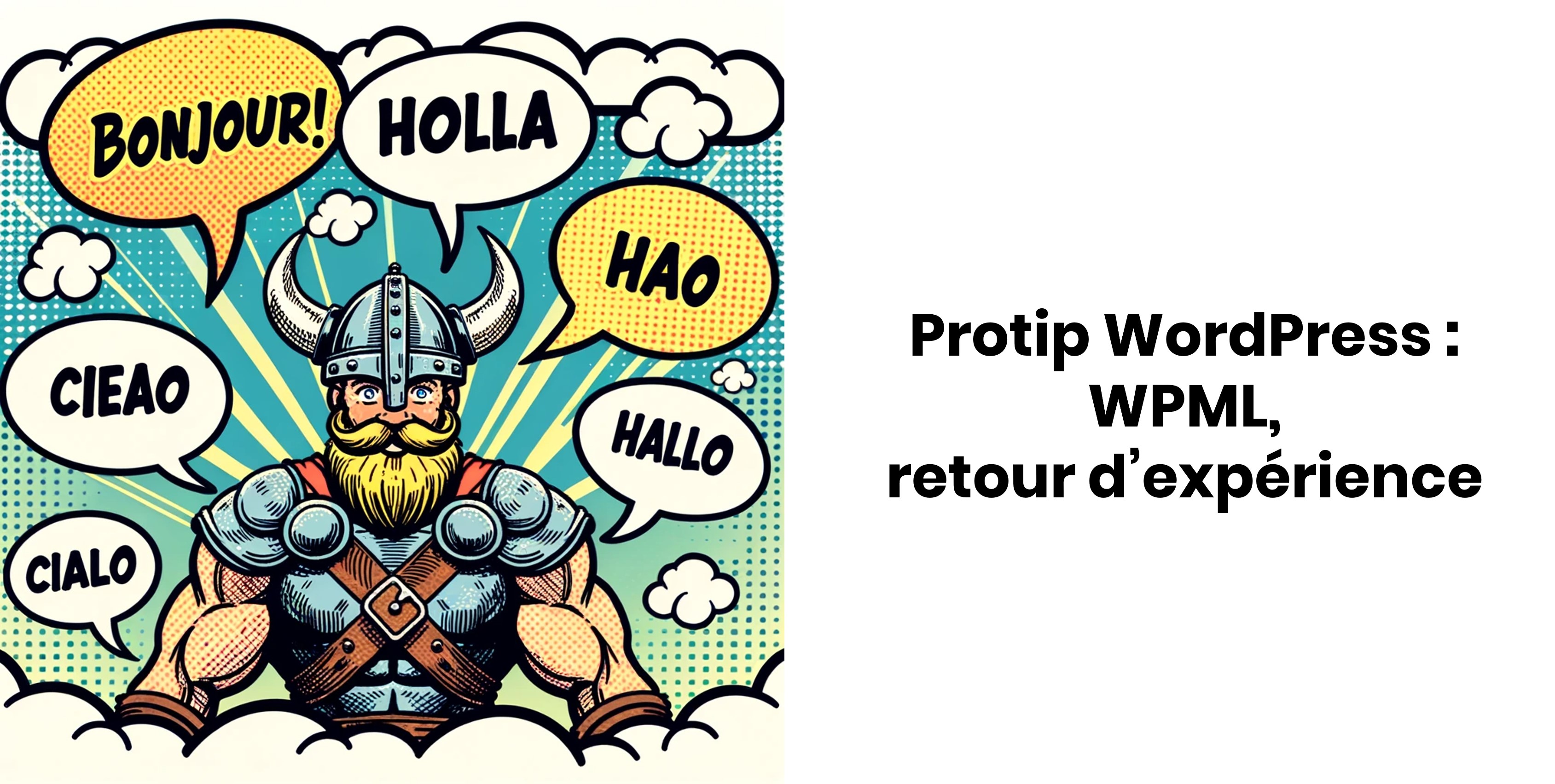 illustration d'un viking qui parle plusieurs langues grace a WPML, le module WordPress WooCommerce pour les traductions en e-commerce
