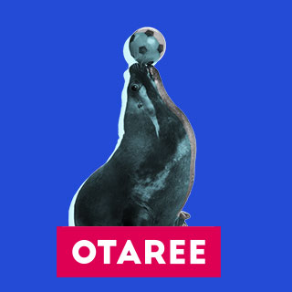 visuel-reference-otaree